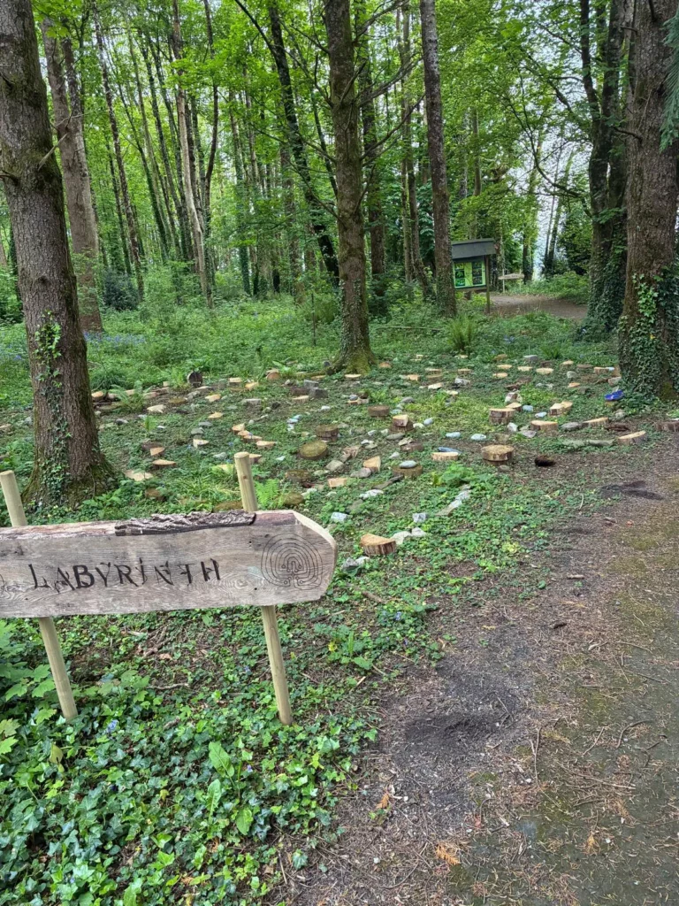 photo of the entrance to labyrinth at carriglea woodland walk in Co Waterford, Ireland